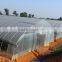 Lower Cost Tunnel Plastic Sheet Greenhouse