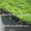 synthetic artificial greenery moss wall green moss wall covering