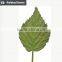 PU natural looking leaves foliage plants wholesale artificial leaves