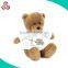 Plush teddy bear camera stuffed musical toy hidden camera toy