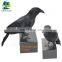 Guangdong manufactory hot sell halloween realistic crow