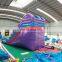 commercial hot sale cheap party rental inflatable purple water slide for sale