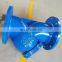Carbon steel Y Type Stainless Steel Screen Strainer With Flange End