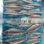 Hot sale vacuum package frozen precooked mackerel fish meat