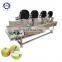 High Efficiency Commercial Vegetable Fruit Air Cooling Drying Machines
