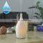 Bottle 100ml Ceramic Aroma Mist Oil Diffuser Humidifier for Home & Office Deco AN-0437