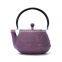 600ml tea kettle cast iron teapot