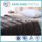 Factory price Lint free flame retardant 20 times washing multifunction imported mink blankets