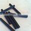 Graphite Electrode