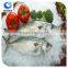 China Supplier Frozen Seafood Fish Indian Mackerel