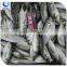 Bulk Packaging and Block Shape Horse Mackerel/Big Eye Scad