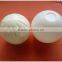 NEW Squeaker Inside Puppy Interactive plush pet dog toy