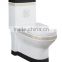 Dennis 2092B P trap Drainage Floor Mounted Color Black Toilet