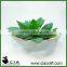 Small White Ceramic Artificial Mini Potted Succulent Bonsai for Wholeselling