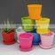 Wholesale Customized Garden Decorating Plastic Plant pots for Nursery