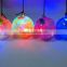 Gltter Bouncing Ball with Water 65mm LED light up Flashing LED animal bouncy ball