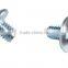 Phillips and slot truss head machine screws