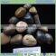 mixed multicolor beach pebble with polished