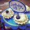 3 Tier Cake Stand Cupcake Stand For Happy Birthday Cake