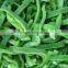 Supply IQF Green Pepper Slicede with best price
