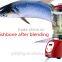 Electric juice extractor juicer food blender winepress