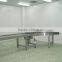 Gravity straight carbon/SS Roller Conveyor