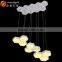 Dinning Pendant Light Cup Pendant Chandelier Acrylic Modern Chandelier OXD9042D-25W