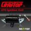 Ignition Coil for Chainsaw (all Kind of Chainsaw Parts Can be Provided)