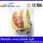 Dental Eduction Assitant No. DEA-06