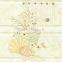 New Design Ceramic Wall Tiles