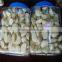 Fresh peeled garlic 5lbx6bg/carton