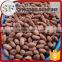 Bulk raw peanuts kernel