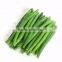 Cheap wholesale canned green beans
