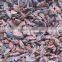 SUPPLIER OF BROKEN STAR ANISEED FROM VIETNAM