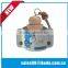 Cheap and fine perfume diffuser bottle car