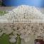 ammonium sulphate 21%