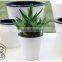 Cheap Plastic Garden Self Watering Flower Pot
