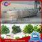 Blanching boil water machine for vegetables,fruit,meat and seafood