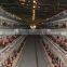 Factory Chicken Layer Cages of H type for Farm with 3layer,4layer,5layer (Hot galvanized/Electric galvanized)