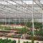 Hydroponics Agriculture Plastic Film Greenhouse