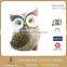 9 Inch Outdoor Resin Home and Garden Ornament Owl Figurines Lively Animal Statue