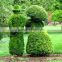 2017 hot sale manufacturer artificial grass cutter animal topiary