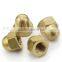 Brass Acorn Nut/Bolt and Nut/Nut and Bolt