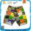 Mens Transfer Printed Boardshorts Pants