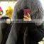 Myfur Navy Color Cotton Parka with Real Fox Fur Hooded Detachable Lining