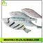 Creative Marine Fish Stationery Bag