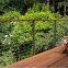 High Quality Customized Stainless Steel Cable Railing for Balcony