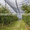 100% HDPE Agricultural anti bird netting /orchard tree hail protection net