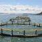 Square Net Cage Fish Farming Anti Stormy Waves