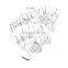 ISM QSM M11 L10 Idler Pulley Assembly K3062602 3062602rx 3060884 3892768 3062602 3060883 for Heavy Duty Truck Engine